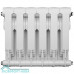 Радиатор Royal Thermo BiLiner 350 /Bianco Traffico - 6 секц.