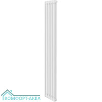 Дизайн-радиатор Royal Thermo Insignia VC2180 - 06 секц. RAL9016