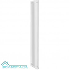 Дизайн-радиатор Royal Thermo Insignia VC2180 - 06 секц. RAL9016