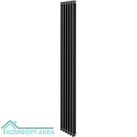 Дизайн-радиатор Royal Thermo Insignia C2180 - 06 секц. RAL9005m