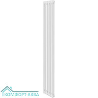 Дизайн-радиатор Royal Thermo Insignia C2180 - 06 секц. RAL9016