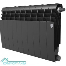 Радиатор Royal Thermo BiLiner 350 /Noir Sable VR - 10 секц.